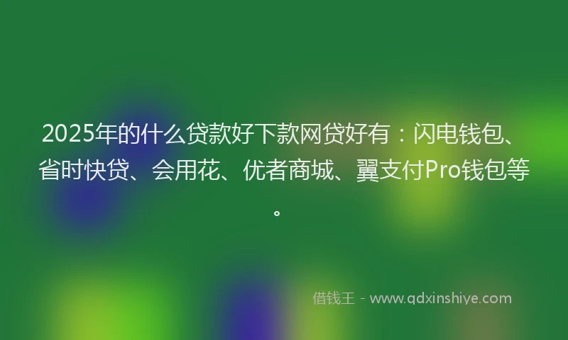 2025年的什么贷款好下款网贷好有：闪电钱包、省时快贷、会用花、优者商城、翼支付Pro钱包等。