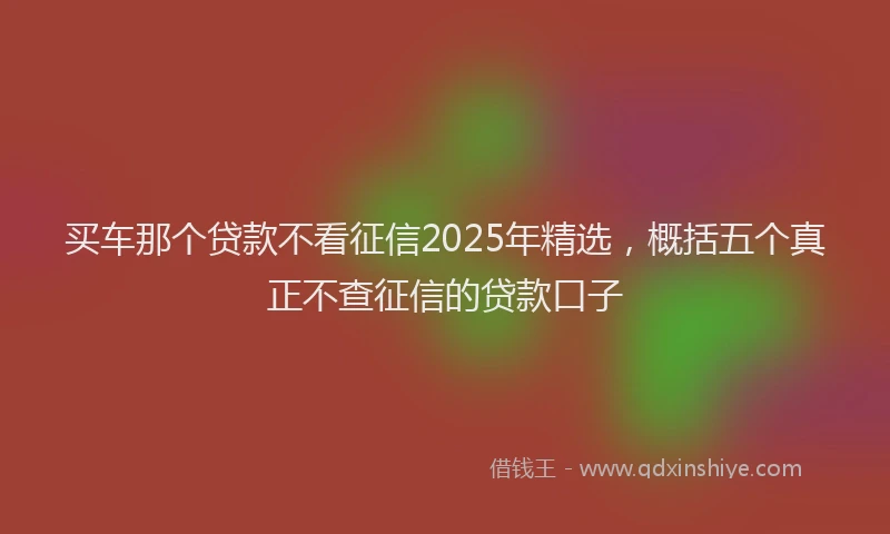 买车那个贷款不看征信2025年精选，概括五个真正不查征信的贷款口子