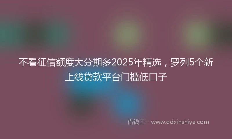 不看征信额度大分期多2025年精选，罗列5个新上线贷款平台门槛低口子