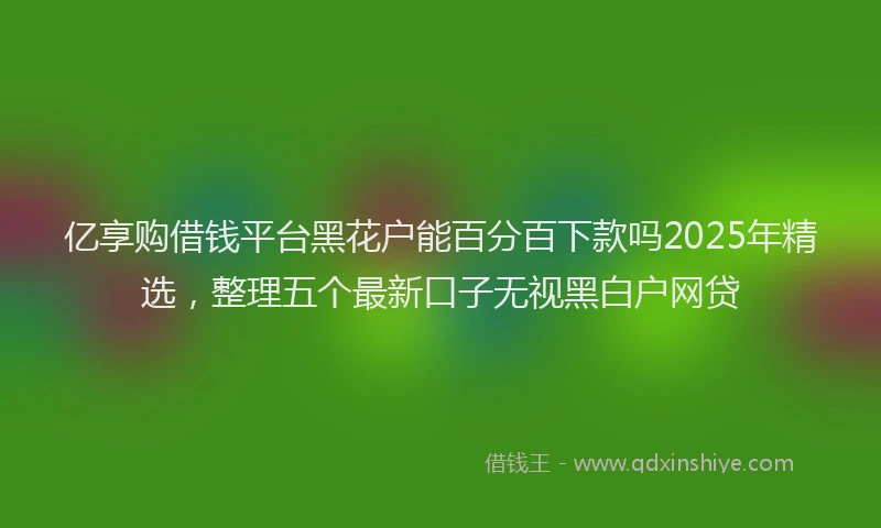 亿享购借钱平台黑花户能百分百下款吗2025年精选，整理五个最新口子无视黑白户网贷