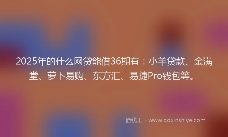 2025年的什么网贷能借36期有：小羊贷款、金满堂、萝卜易购、东方汇、易捷Pro钱包等。