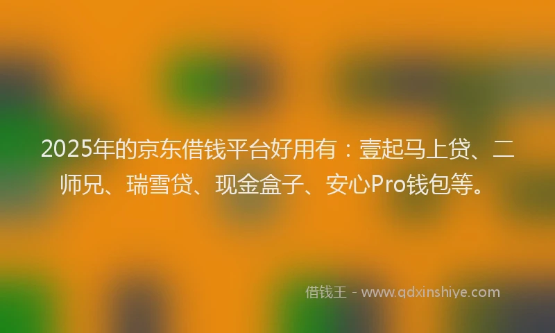 2025年的京东借钱平台好用有：壹起马上贷、二师兄、瑞雪贷、现金盒子、安心Pro钱包等。