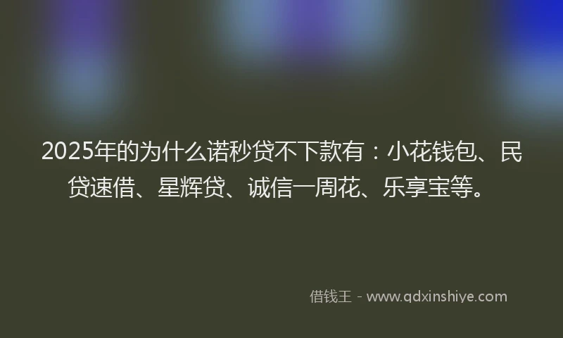 2025年的为什么诺秒贷不下款有：小花钱包、民贷速借、星辉贷、诚信一周花、乐享宝等。
