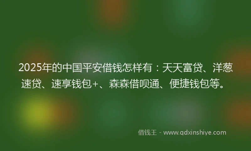 2025年的中国平安借钱怎样有：天天富贷、洋葱速贷、速享钱包+、森森借呗通、便捷钱包等。