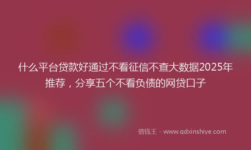 什么平台贷款好通过不看征信不查大数据2025年推荐，分享五个不看负债的网贷口子