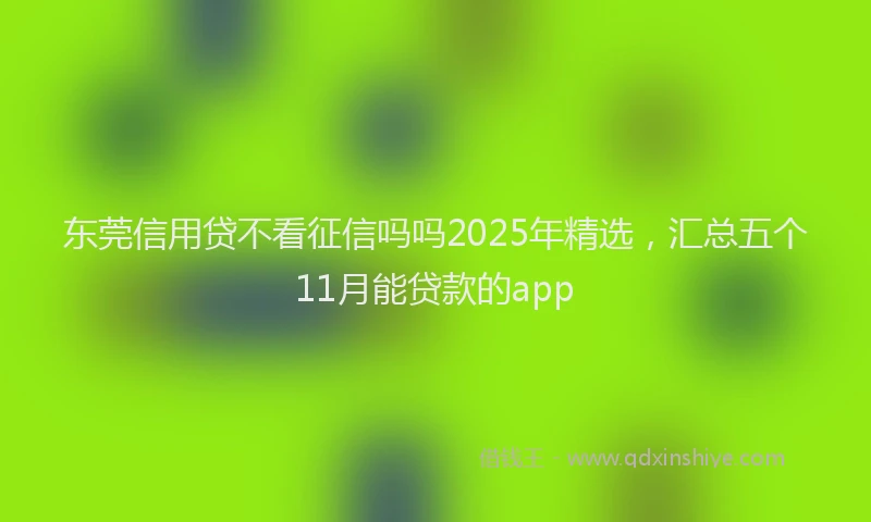 东莞信用贷不看征信吗吗2025年精选，汇总五个11月能贷款的app