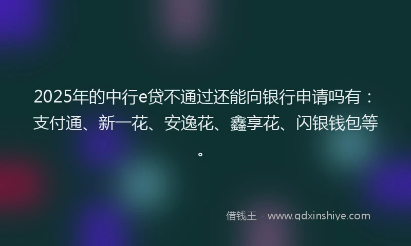 2025年的中行e贷不通过还能向银行申请吗有：支付通、新一花、安逸花、鑫享花、闪银钱包等。