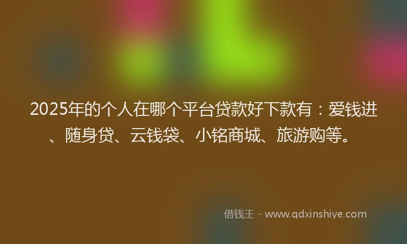 2025年的个人在哪个平台贷款好下款有：爱钱进、随身贷、云钱袋、小铭商城、旅游购等。