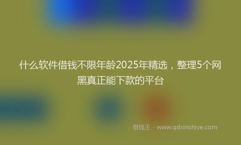 什么软件借钱不限年龄2025年精选，整理5个网黑真正能下款的平台