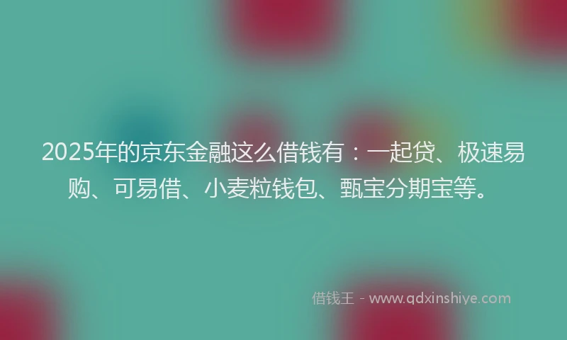 2025年的京东金融这么借钱有：一起贷、极速易购、可易借、小麦粒钱包、甄宝分期宝等。