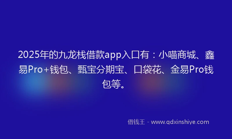 2025年的九龙栈借款app入口有：小喵商城、鑫易Pro+钱包、甄宝分期宝、口袋花、金易Pro钱包等。