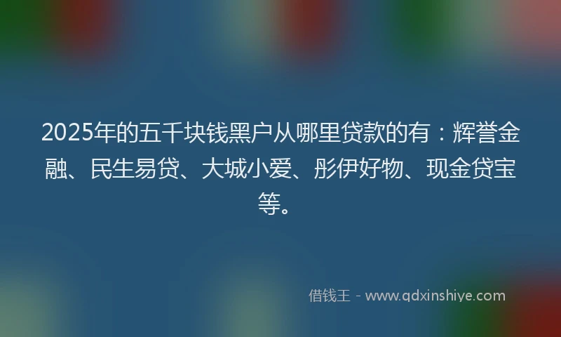 2025年的五千块钱黑户从哪里贷款的有：辉誉金融、民生易贷、大城小爱、彤伊好物、现金贷宝等。