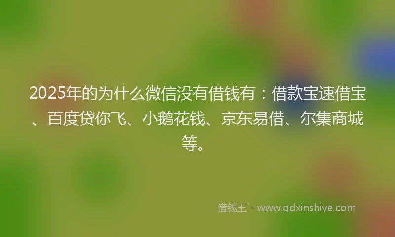 2025年的为什么微信没有借钱有：借款宝速借宝、百度贷你飞、小鹅花钱、京东易借、尔集商城等。