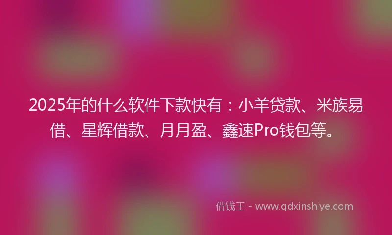 2025年的什么软件下款快有：小羊贷款、米族易借、星辉借款、月月盈、鑫速Pro钱包等。