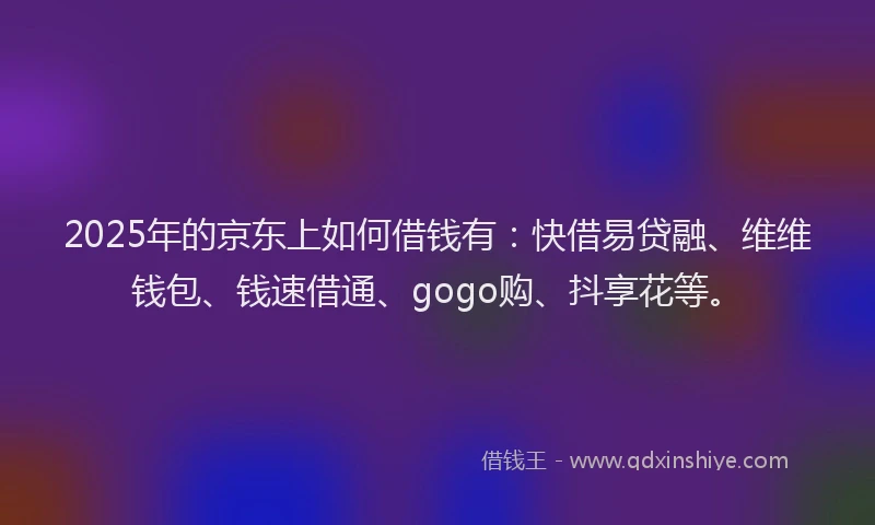 2025年的京东上如何借钱有：快借易贷融、维维钱包、钱速借通、gogo购、抖享花等。