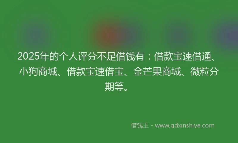 2025年的个人评分不足借钱有：借款宝速借通、小狗商城、借款宝速借宝、金芒果商城、微粒分期等。