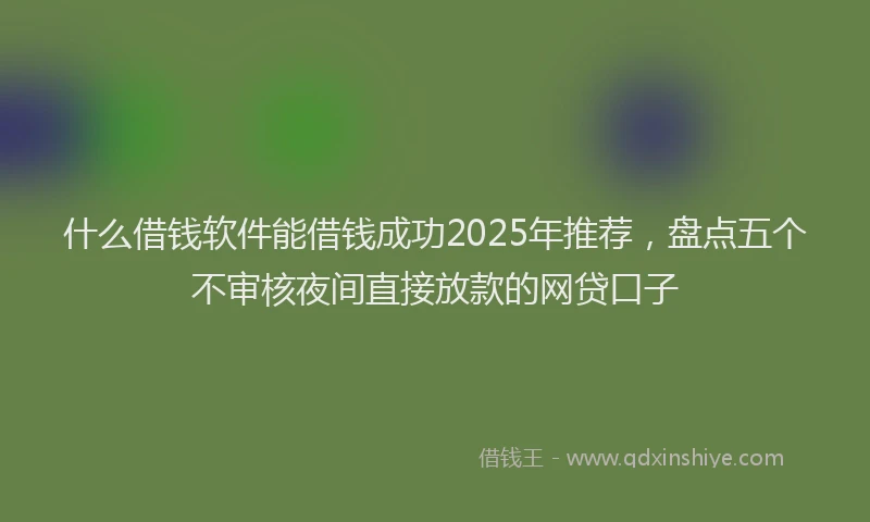 什么借钱软件能借钱成功2025年推荐，盘点五个不审核夜间直接放款的网贷口子