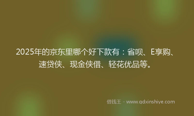 2025年的京东里哪个好下款有：省呗、E享购、速贷侠、现金侠借、轻花优品等。