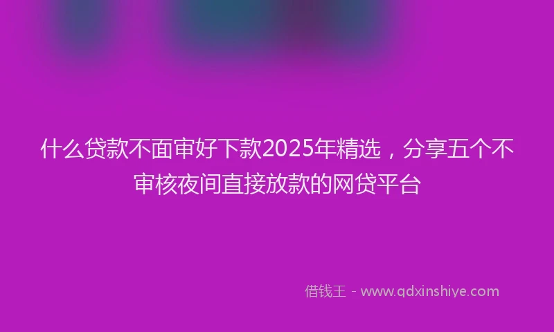什么贷款不面审好下款2025年精选，分享五个不审核夜间直接放款的网贷平台