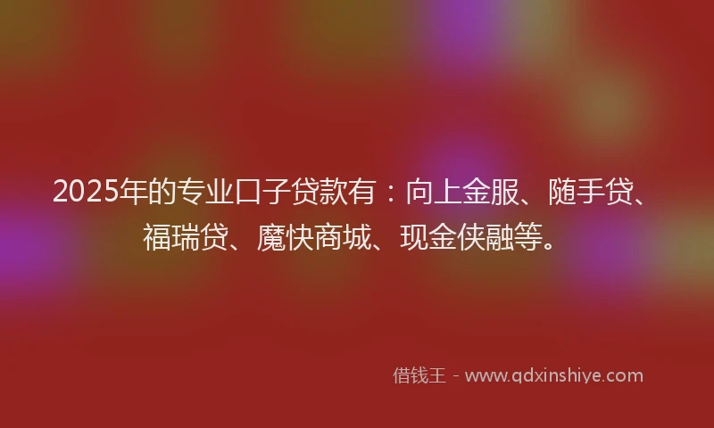 2025年的专业口子贷款有：向上金服、随手贷、福瑞贷、魔快商城、现金侠融等。