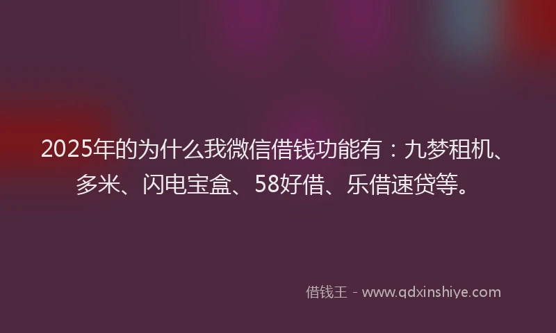 2025年的为什么我微信借钱功能有：九梦租机、多米、闪电宝盒、58好借、乐借速贷等。