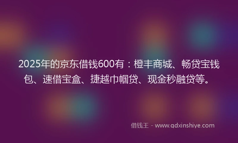 2025年的京东借钱600有：橙丰商城、畅贷宝钱包、速借宝盒、捷越巾帼贷、现金秒融贷等。