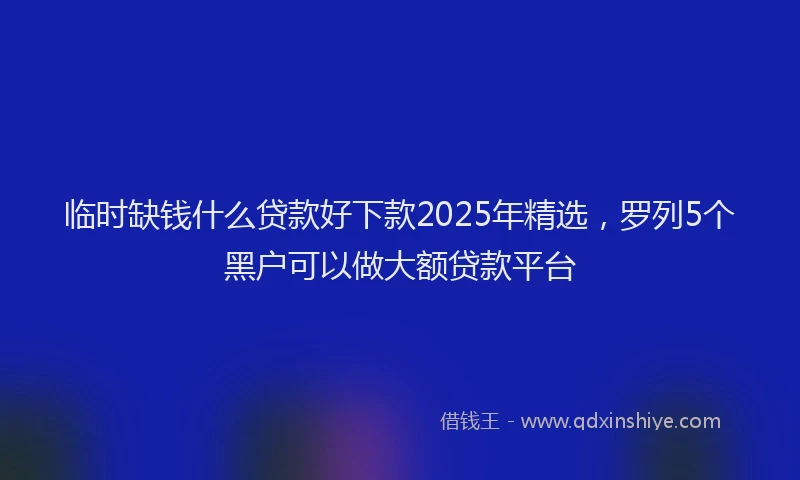 临时缺钱什么贷款好下款2025年精选，罗列5个黑户可以做大额贷款平台