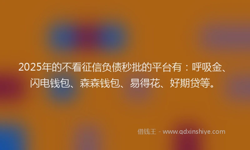 2025年的不看征信负债秒批的平台有：呼吸金、闪电钱包、森森钱包、易得花、好期贷等。
