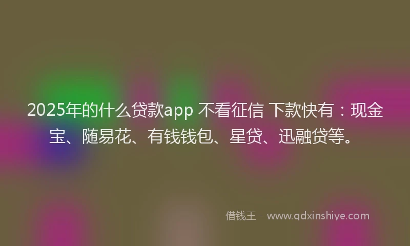 2025年的什么贷款app 不看征信 下款快有：现金宝、随易花、有钱钱包、星贷、迅融贷等。