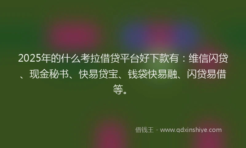 2025年的什么考拉借贷平台好下款有：维信闪贷、现金秘书、快易贷宝、钱袋快易融、闪贷易借等。