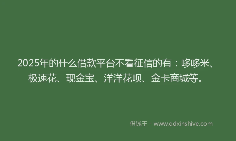 2025年的什么借款平台不看征信的有：哆哆米、极速花、现金宝、洋洋花呗、金卡商城等。