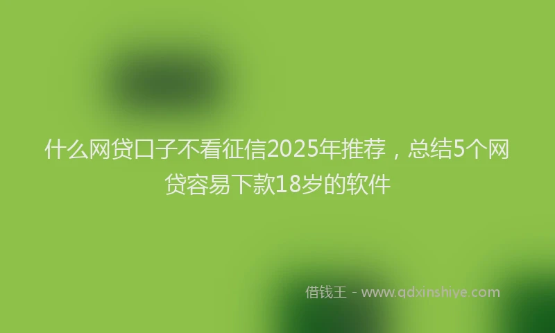 什么网贷口子不看征信2025年推荐，总结5个网贷容易下款18岁的软件