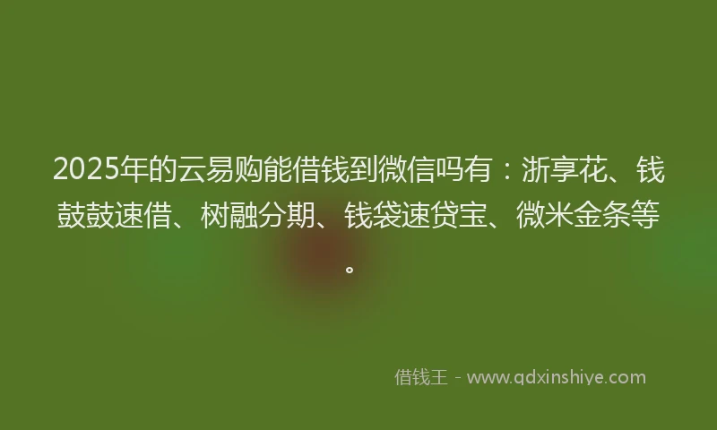 2025年的云易购能借钱到微信吗有：浙享花、钱鼓鼓速借、树融分期、钱袋速贷宝、微米金条等。