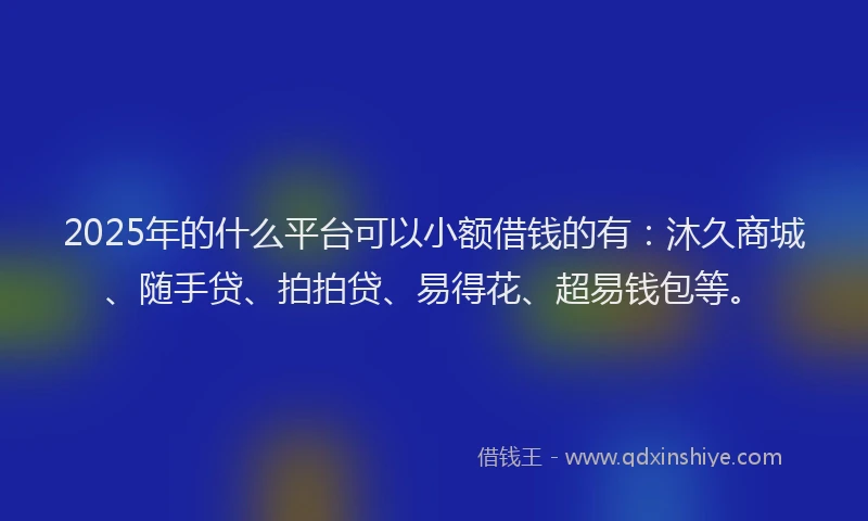 2025年的什么平台可以小额借钱的有：沐久商城、随手贷、拍拍贷、易得花、超易钱包等。