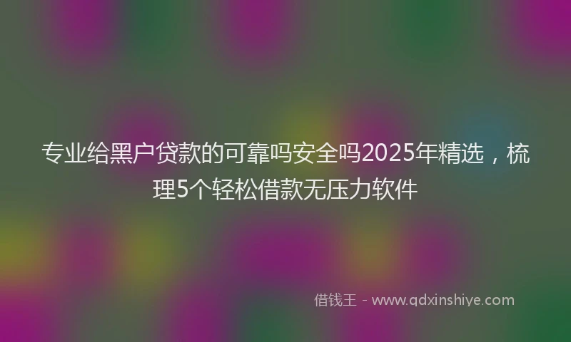 专业给黑户贷款的可靠吗安全吗2025年精选，梳理5个轻松借款无压力软件
