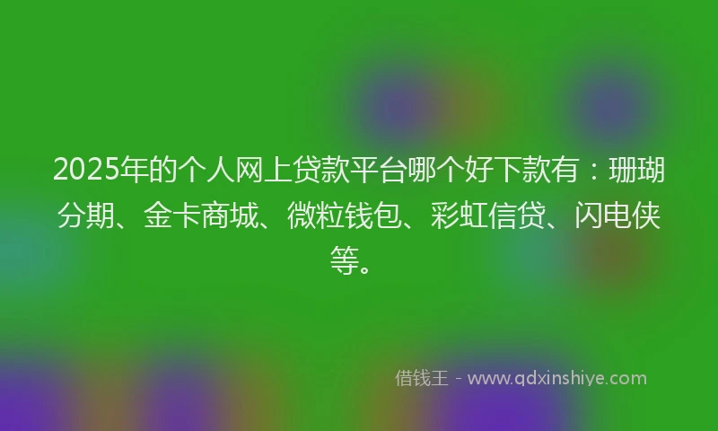 2025年的个人网上贷款平台哪个好下款有：珊瑚分期、金卡商城、微粒钱包、彩虹信贷、闪电侠等。
