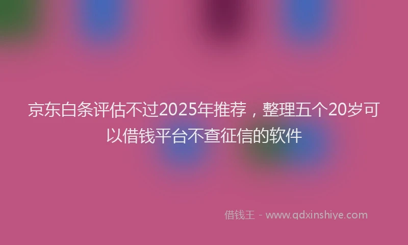 京东白条评估不过2025年推荐，整理五个20岁可以借钱平台不查征信的软件