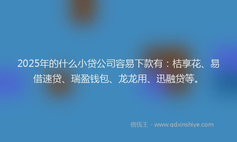 2025年的什么小贷公司容易下款有：桔享花、易借速贷、瑞盈钱包、龙龙用、迅融贷等。