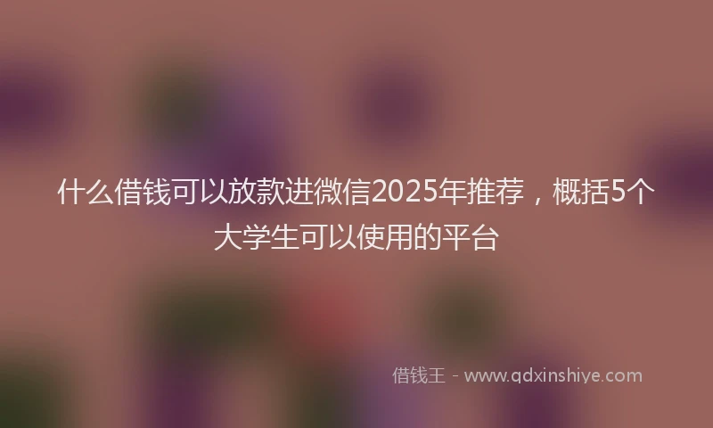 什么借钱可以放款进微信2025年推荐，概括5个大学生可以使用的平台