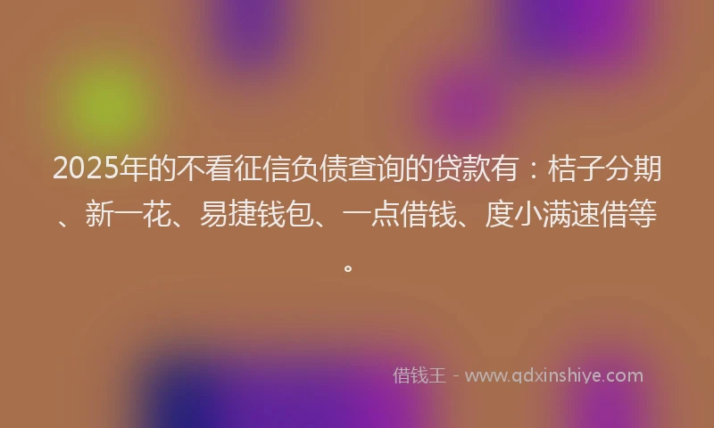 2025年的不看征信负债查询的贷款有：桔子分期、新一花、易捷钱包、一点借钱、度小满速借等。