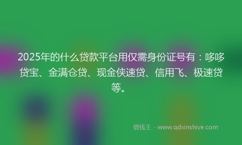 2025年的什么贷款平台用仅需身份证号有：哆哆贷宝、金满仓贷、现金侠速贷、信用飞、极速贷等。