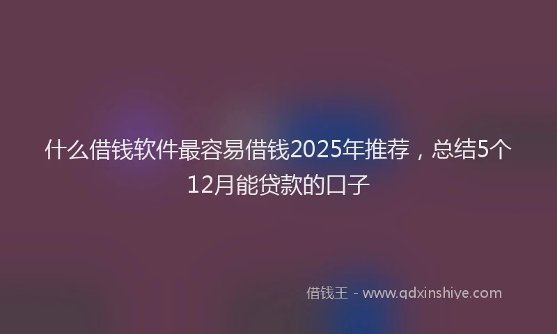 什么借钱软件最容易借钱2025年推荐，总结5个12月能贷款的口子