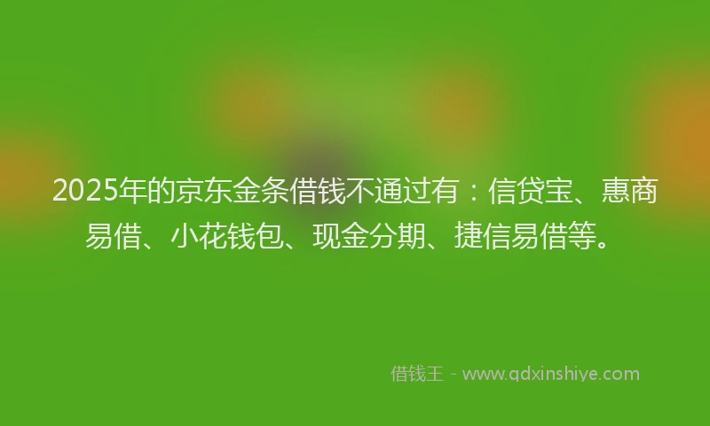 2025年的京东金条借钱不通过有：信贷宝、惠商易借、小花钱包、现金分期、捷信易借等。