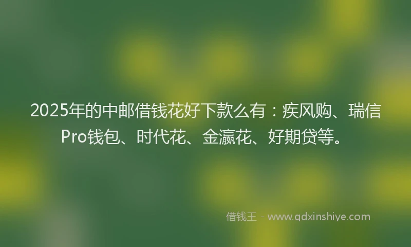2025年的中邮借钱花好下款么有：疾风购、瑞信Pro钱包、时代花、金瀛花、好期贷等。
