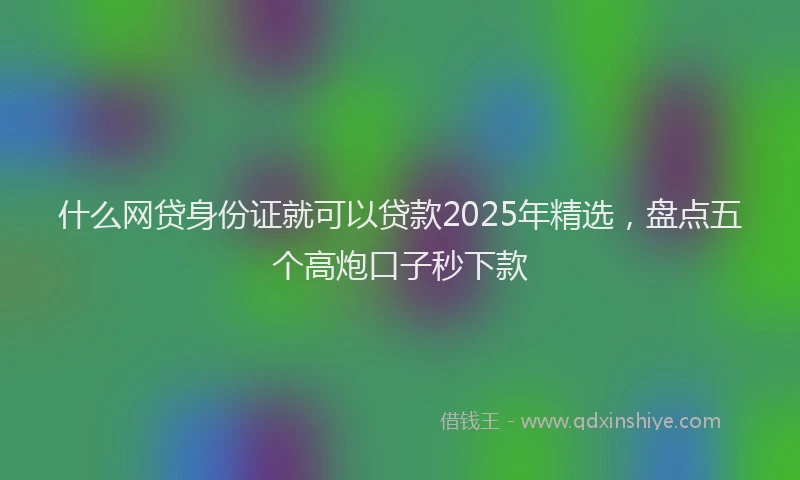 什么网贷身份证就可以贷款2025年精选，盘点五个高炮口子秒下款