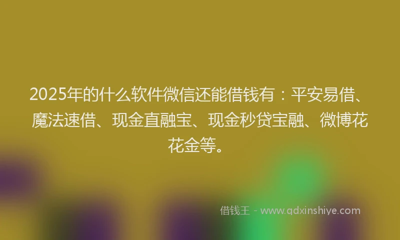 2025年的什么软件微信还能借钱有：平安易借、魔法速借、现金直融宝、现金秒贷宝融、微博花花金等。