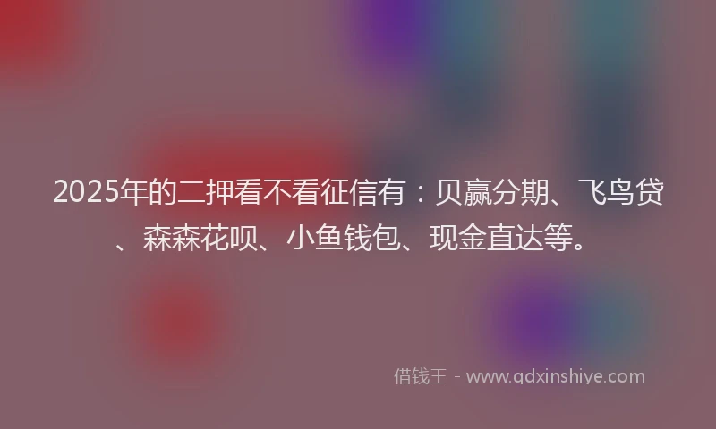 2025年的二押看不看征信有：贝赢分期、飞鸟贷、森森花呗、小鱼钱包、现金直达等。
