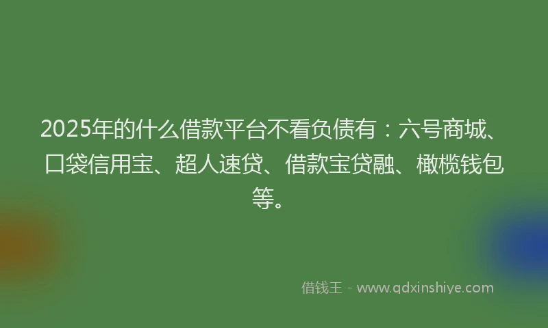 2025年的什么借款平台不看负债有：六号商城、口袋信用宝、超人速贷、借款宝贷融、橄榄钱包等。
