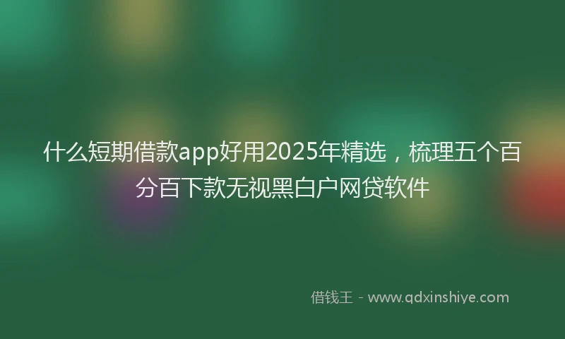 什么短期借款app好用2025年精选，梳理五个百分百下款无视黑白户网贷软件