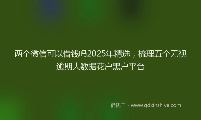 两个微信可以借钱吗2025年精选，梳理五个无视逾期大数据花户黑户平台